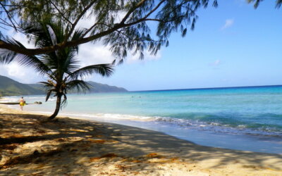 Exploring the Stunning Beaches of St. Croix