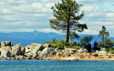 Exploring the Best Beaches Near Lake Tahoe