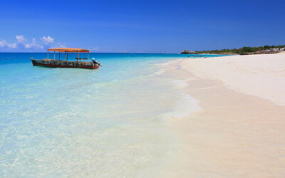 Discover the Best Beaches in Zanzibar