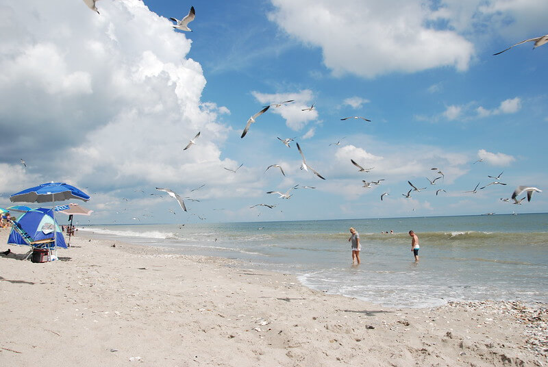 Discover the Best Beaches in South Carolina
