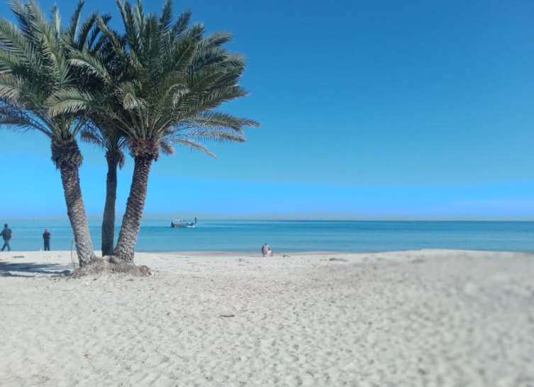 Exploring the Stunning Beaches of Tunisia