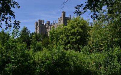 Castles in West Sussex